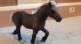 /album/fotogalerij-onze-paarden/schermafbeelding-2013-03-14-om-16-10-41-png/